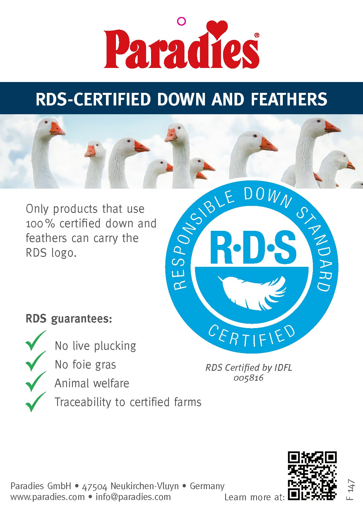 Paradies Down Latex 90 Organic Reform Pillow