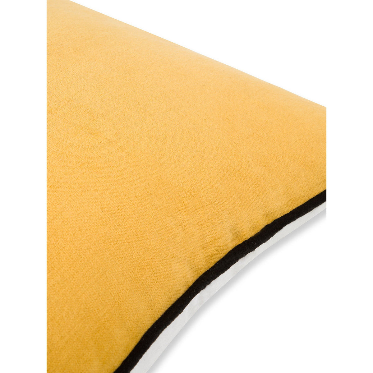 COINCASA CUSHION