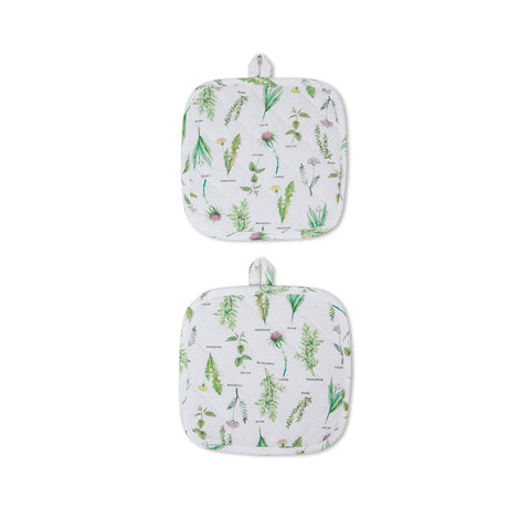 COINCASA POTHOLDER
